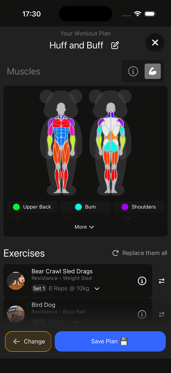 Workout plan muscle map