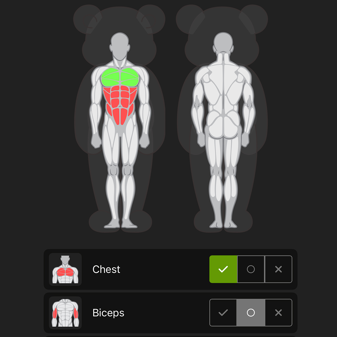 Customize Muscles
